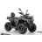 Квадроцикл MOTAX ATV Grizlik T 250 Basic оптом