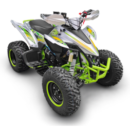 Квадроцикл YACOTA TYPHOON 250, фото 2