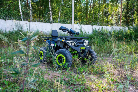 Квадроцикл MOTOLAND 200 Wild Track Lux ( Баланс. вал) (2021 Г.) оптом, фото 8