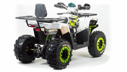 Квадроцикл MOTOLAND 200 Wild Track Lux ( Баланс. вал) (2021 Г.) оптом, фото 6