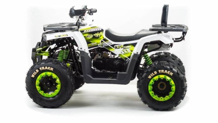 Квадроцикл MOTOLAND 200 Wild Track Lux ( Баланс. вал) (2021 Г.) оптом, фото 3