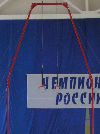 Рама с кольцами гимнастическими оптом, фото 1