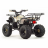 Квадроцикл подростковый MotoLand ATV FOX 125 оптом