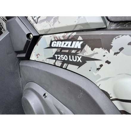 Квадроцикл MOTAX ATV Grizlik T 250 Pro оптом, фото 22