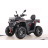 Квадроцикл MOTAX ATV Grizlik T 250 Pro оптом