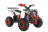 Квадроцикл WELS Thunder EVO X ST оптом