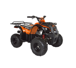 Квадроцикл ABM Ninja 110, фото 2