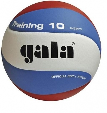 Мяч волейбольный GALA Training 10 оптом, фото 1