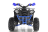 Квадроцикл WELS Thunder EVO оптом