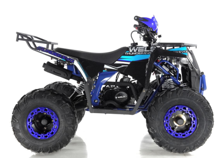 Квадроцикл WELS Thunder EVO оптом, фото 4