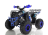 Квадроцикл WELS Thunder EVO оптом