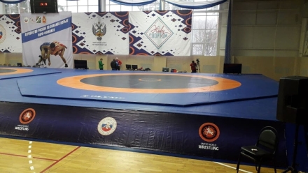 Ковёр борцовский 12х12х0,04 м, эквивалентно пл.140 кг/м3 (НПЭ, трёхцветный) СТП-91 оптом, фото 4