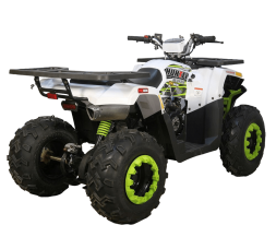 Квадроцикл AVANTIS H200 NEW (Баланс. вал), фото 2