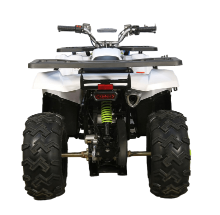 Квадроцикл AVANTIS H200 NEW (Баланс. вал) оптом, фото 1