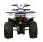 Квадроцикл AVANTIS H200 NEW (Баланс. вал) оптом