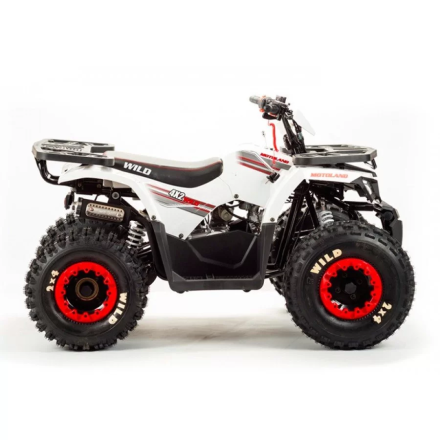 Квадроцикл подростковый MotoLand ATV WILD BASIC 125 оптом, фото 4