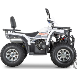 Квадроцикл YACOTA VIKING PRO, фото 2