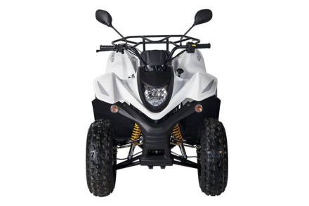 Квадроцикл BALTMOTORS Jam 100 оптом, фото 4