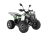 Квадроцикл WELS Thunder EVO LUX X 125 оптом