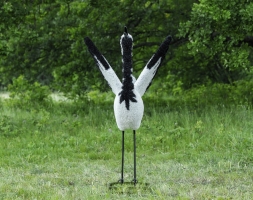Топиари журавль японский - газон Eco, фото 2