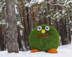 Топиари смайлик Без шляпы - газон Premium, фото 1