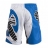 Шорты ММА Hayabusa Chikara Fight Shorts Blue оптом