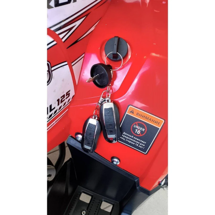 Квадроцикл WELS ATV Trail 125 Pro (алюм. диски) оптом, фото 8