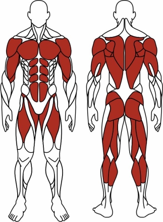 Наездник (красный) - Уличный тренажер - СТ 033-11.П оптом, фото 6