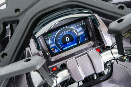 Квадроцикл MOTOLAND 200 Wild Track X Pro (2022) оптом, фото 14