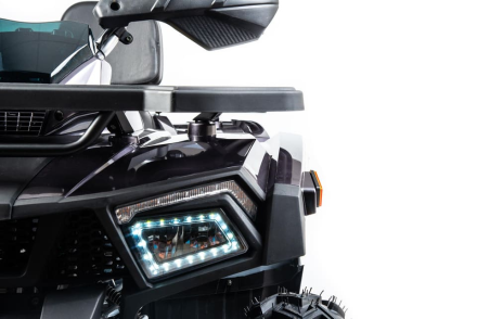 Квадроцикл MOTOLAND 200 Wild Track X Pro (2022) оптом, фото 7