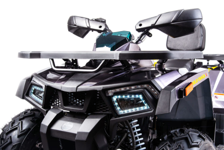 Квадроцикл MOTOLAND 200 Wild Track X Pro (2022) оптом, фото 4