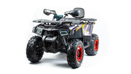 Квадроцикл MOTOLAND 200 Wild Track X Pro (2022) оптом, фото 3