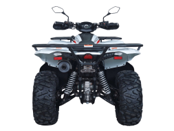 Квадроцикл ACCESS AMX800 Long Base (ПСМ), фото 2 Квадроцикл ACCESS AMX800 Long Base (ПСМ), фото 2