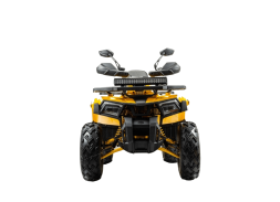 Квадроцикл BISON Track X PRO, фото 2