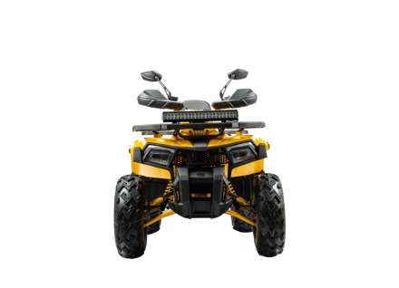 Квадроцикл BISON Track X PRO оптом, фото 2