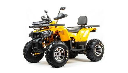 Квадроцикл BISON Track X PRO оптом, фото 1