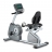 Горизонтальный велотренажер с TFT LCD дисплеем Circle Fitness R6 E оптом