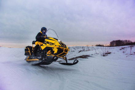 Снегоход РЫБАК Торос 500 K460PRO оптом, фото 2