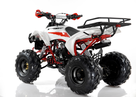 Квадроцикл MOTAX ATV Raptor Super LUX 125 cc оптом, фото 16