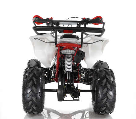 Квадроцикл MOTAX ATV Raptor Super LUX 125 cc оптом, фото 4