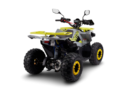 Квадроцикл AVANTIS Ray 8 Lux оптом, фото 4
