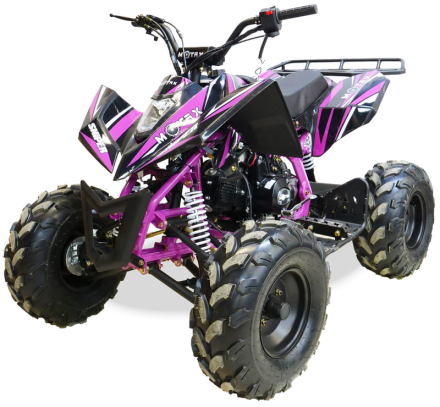 Квадроцикл MOTAX ATV T-Rex Super LUX 50 cc оптом, фото 1