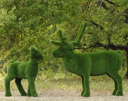 Топиари композиция олени Норди с Севой - газон Deluxe оптом, фото 1