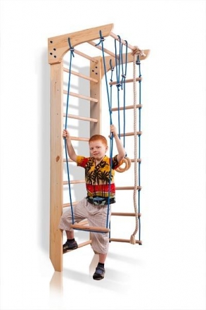Детский спортивный комплекс Kinder 2-220 оптом, фото 1