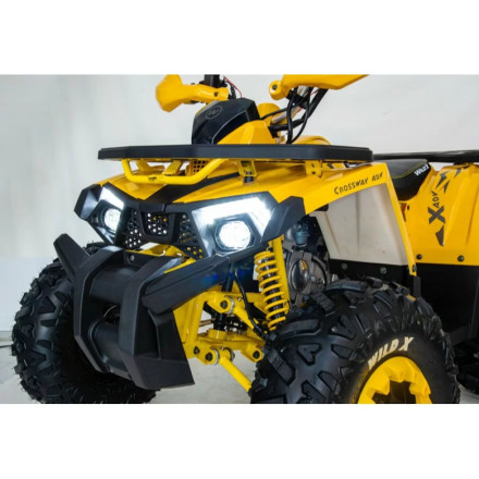 Квадроцикл подростковый MotoLand WILD X 125 оптом, фото 11