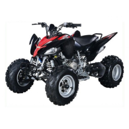 Квадроцикл АВМ Scorpion 250 B