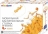 Детская баскетбольная стойка складная в чемодане оптом