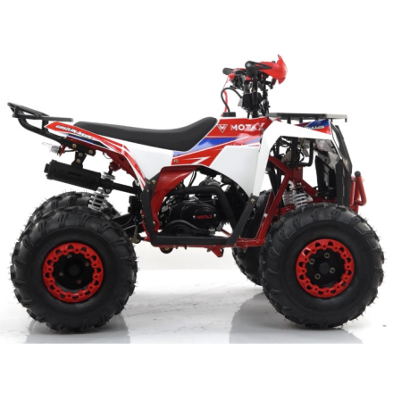Квадроцикл бензиновый MOTAX GRIZLIK A125 оптом, фото 3