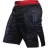 Шорты Hardcore Training hctshorts011 оптом