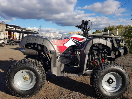 Квадроцикл YACOTA Sela 150 оптом, фото 5